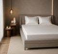 MVB Himalayan Mist Fitted Silk Bedsheet Set - Pure White Double