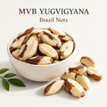 Illustrative MVB YUGVIGYANA Brazil nut kernels in a cream bowl, not actual stock photography