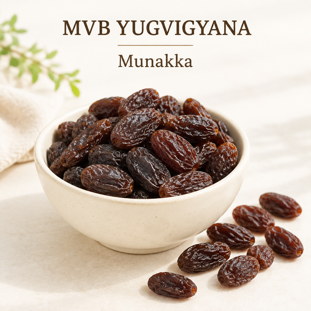 Illustrative MVB YUGVIGYANA munakka dried grapes in a cream bowl, not actual stock photography