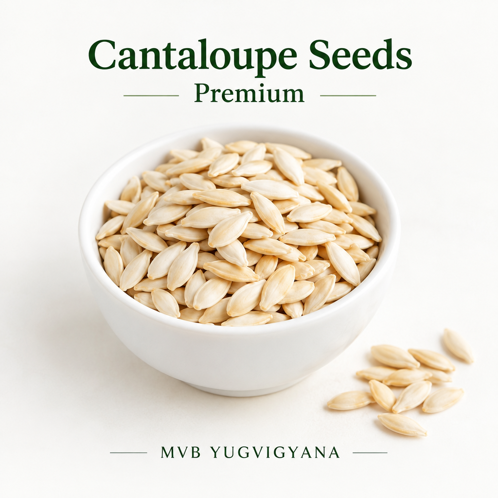 MVB YUGVIGYANA Cantaloupe Seeds Premium