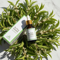 Tea Tree Essential Oil